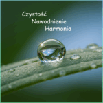 Kiedy krew gęstnieje, ciało milknie - co mówi o nas fibrynogen?